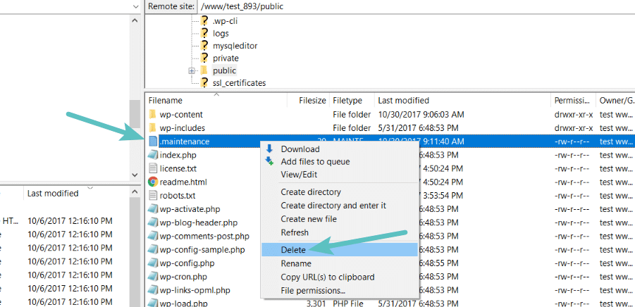 FTP Editor - Removing maintenance file 